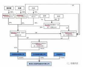 300万控股百亿上市公司,暗度陈仓规避借壳红线