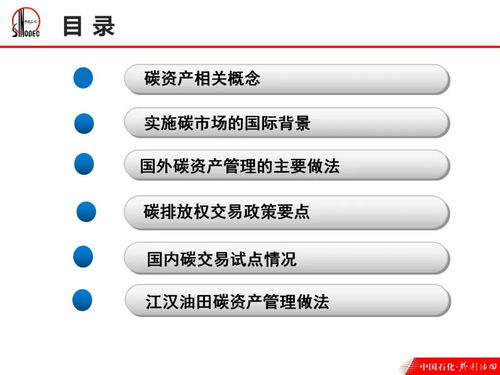 碳资产管理 概念 背景 政策 实操案例 试点情况 ppt分享