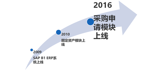 SAP产品应用成功案例